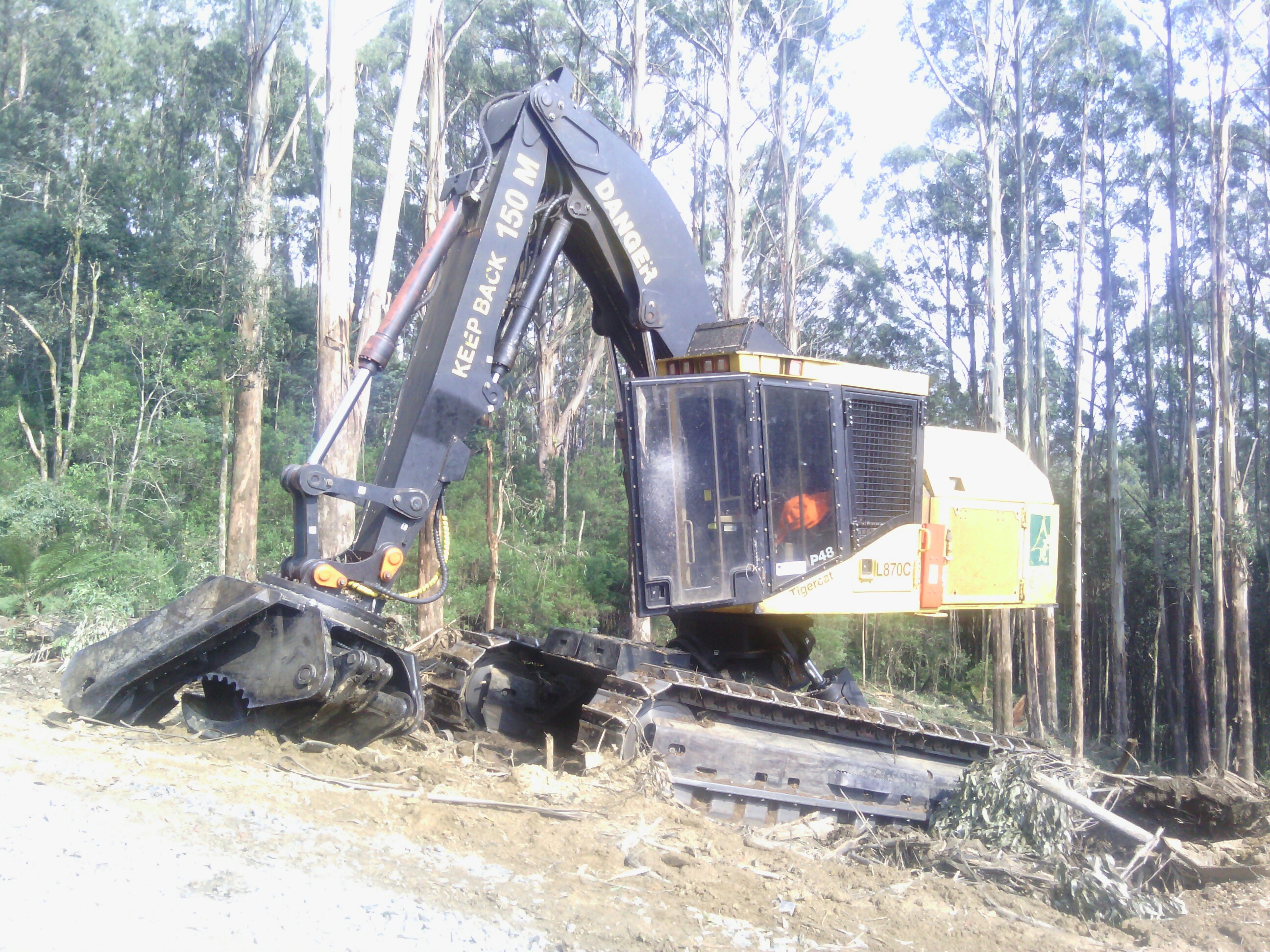 VicForests